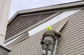 Best Insulated Siding Installation  in Fallon, NV